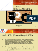 Audit SDM