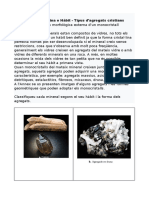 Dossier Estudi Propietats Minerals