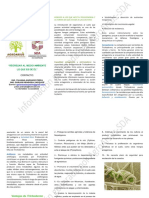 Trichoderma Agroarsus para Leer Sda