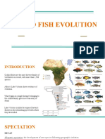 Cichlid Fish Evolution