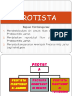 Protista Mirip Jamur