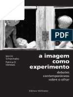 IARA - PATRICIA - A Imagem Como Experimento - Livro