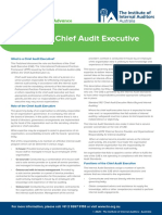Factsheet Chief Audit Executive