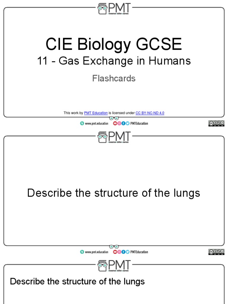 Flashcards Topic 11 Gas Exchange in Humans CAIE Biology IGCSE PDF