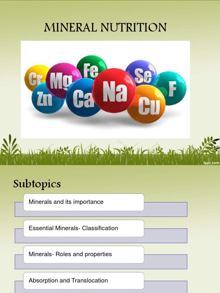 MINERALS DEFINITION NUTRITION SIMPLE intelligence overview