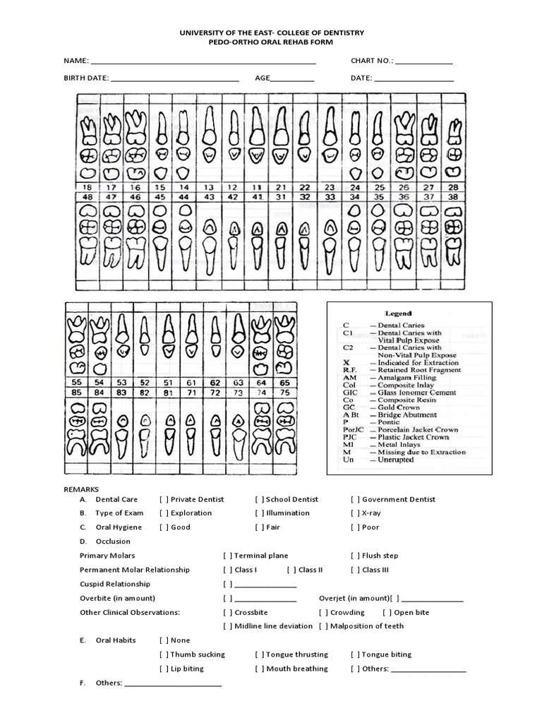 pedo-forms-to-print-pdf-dentistry-diseases-and-disorders