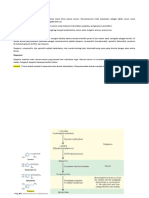 Neurotransmitter