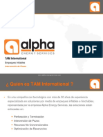 Alpha Energy Services - Tam International