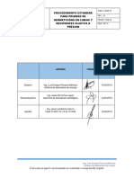 Pim Lt Lineas 01 Pruebas de Hermeticidad en Lineas y Rsp