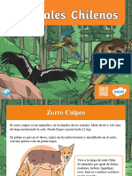 Zorro culpeo, cóndor y otros animales nativos de Chile