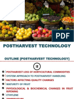 Postharvest Loss