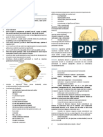 Craniectomia Suboccipitala Retromastoidiana