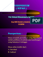 2 Nifas Analgesi