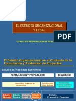 Estudio organizacional y legal proyectos