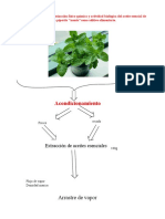 Caracterización y actividad del aceite esencial de menta