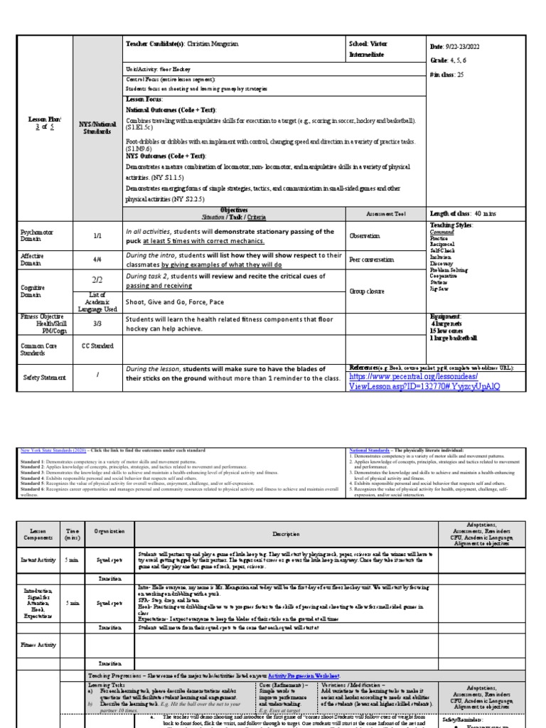 Vis Floor Hockey 3 Shooting Download Free PDF Educational