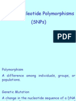 Single Nucleotide Polymorphisms