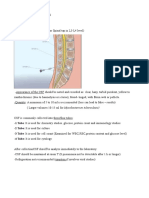 Laboratory Diagnosis of Central Nervous System Infections