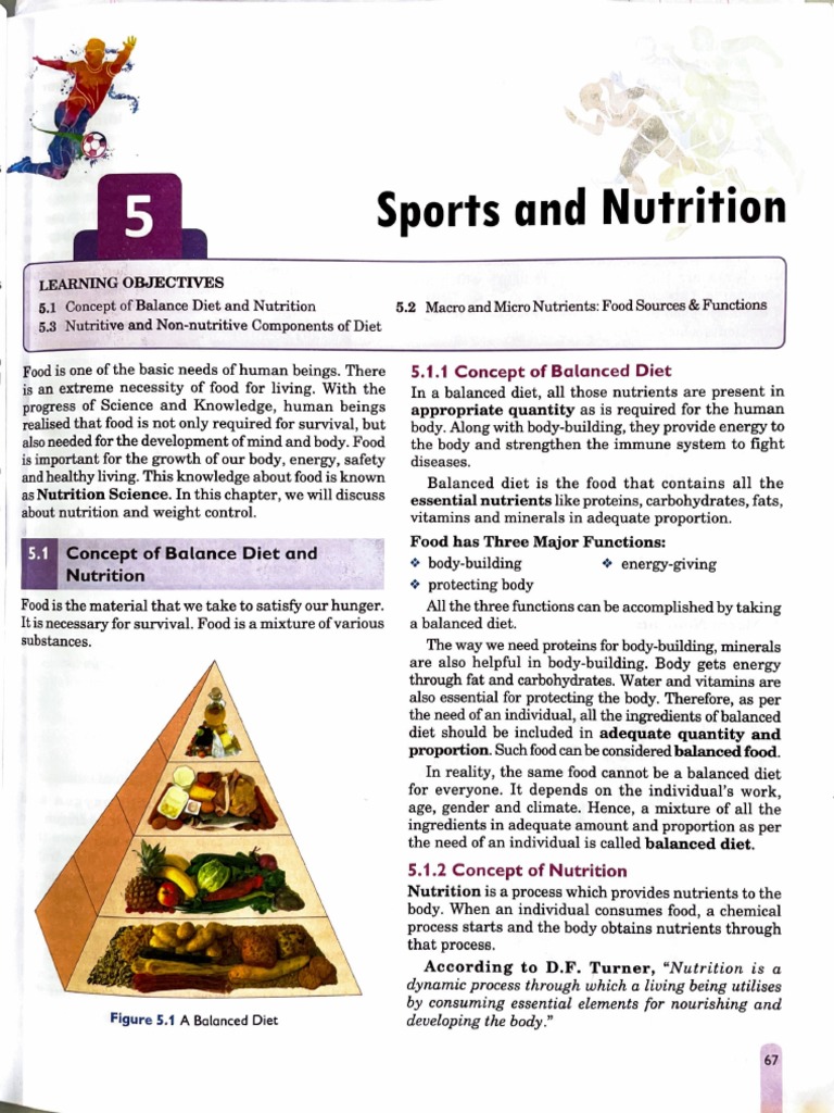 Sports Nutrition and Balanced Diet Essentials | PDF | Nutrients | Human ...
