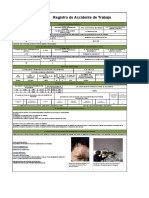 Anexo 09 Registro de Accidentes de Trabajo 2 05
