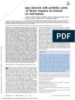 Ventral Hippocampus Interacts With Prelimbic Cortexduring Inhibition of Threat Response Via Learnedsafety in Both Mice and Humans