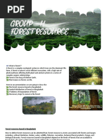 Forest Resource