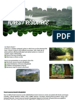 Forest Resource