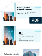 Private, Public, and Global Enterprise Types Compared
