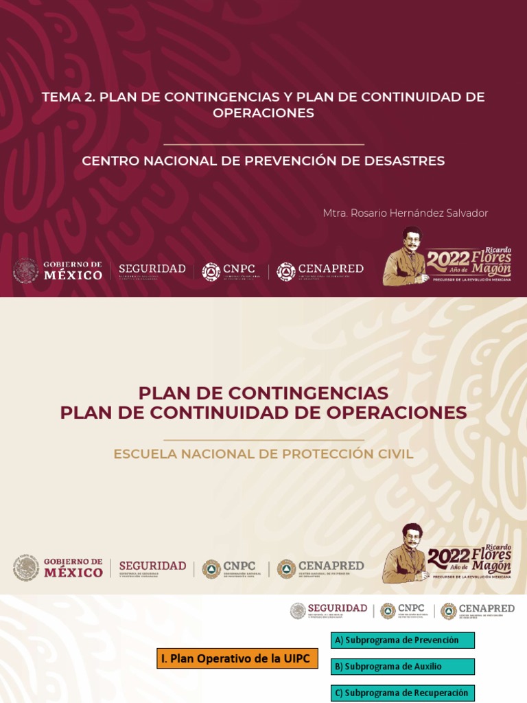 Tema 2 Programa Interno Proteccion Civil | PDF | Riesgo | Defensa Civil