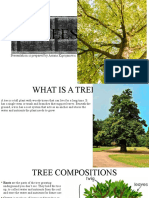 About Trees