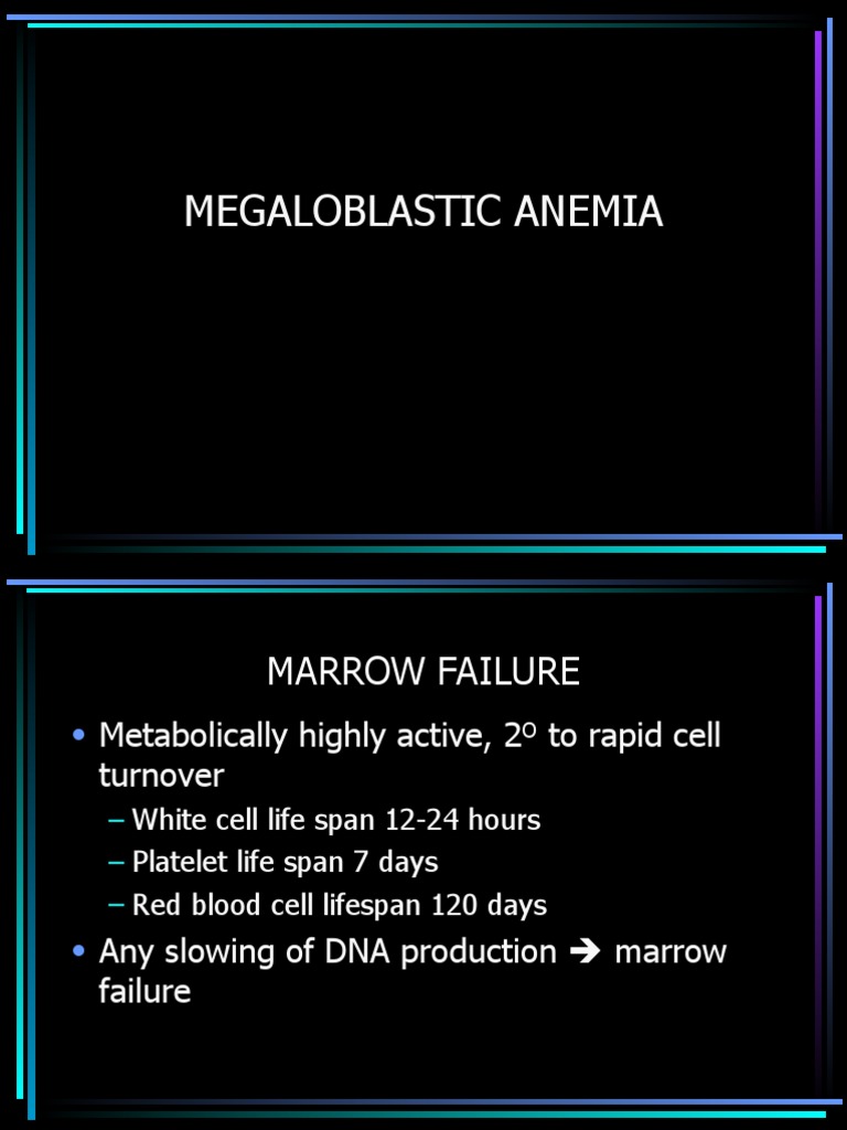 Megaloblastic PDF Vitamin B12 Anemia