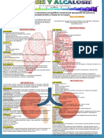 Infografia Acidosis y Alcalosis