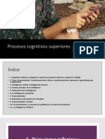 Procesos Cognitivos Superiores