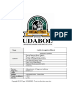 Ficha de Identificación de Proyecto