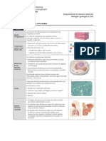 DOSSIER RECUPERACIÓ 1a I 2a