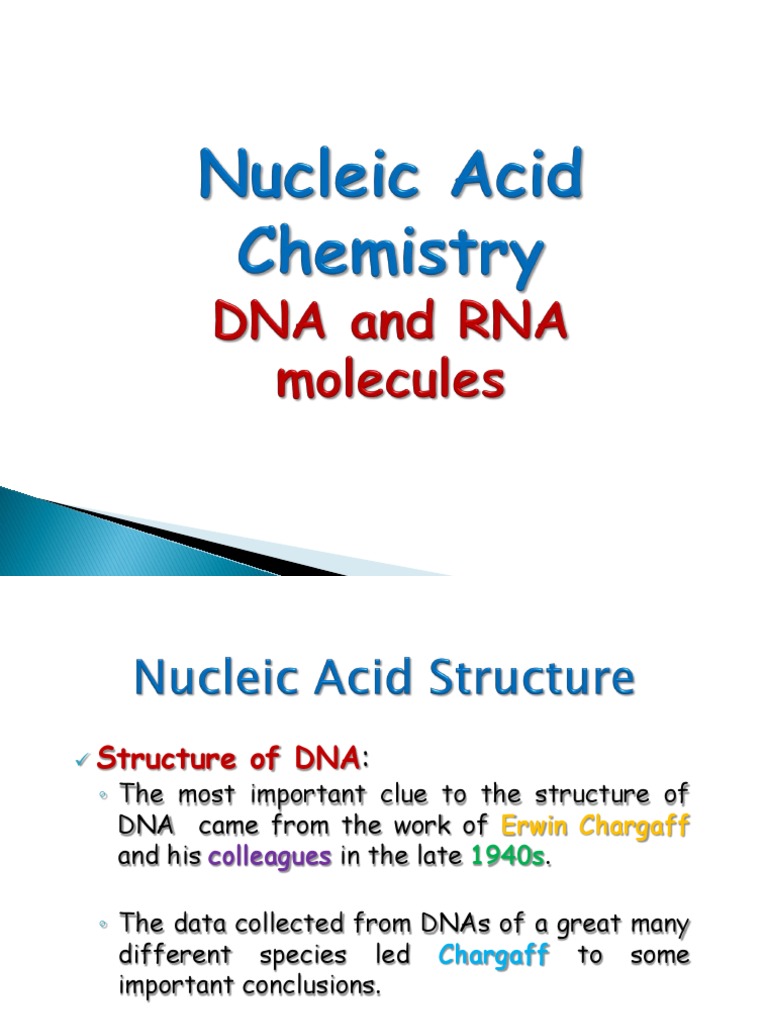 Nucleic Acids Chemistry PDF Translation (Biology) Dna