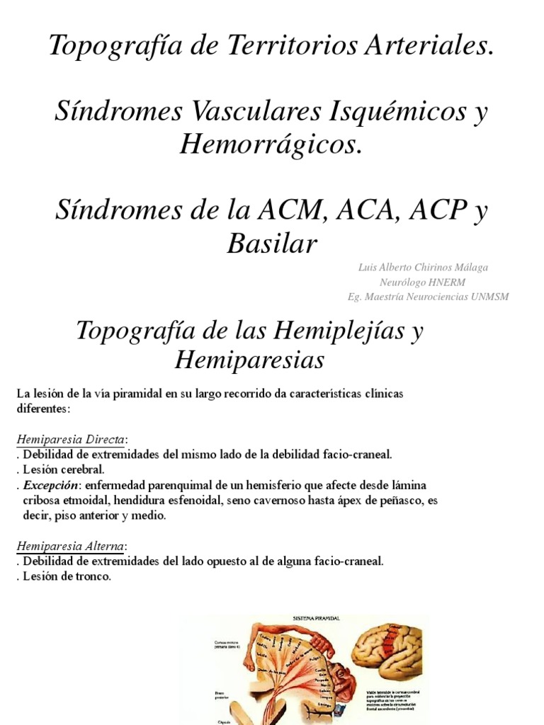 topografia-art-sd-isq-y-hemorragicos-sd-de-acm-aca-acp-basilar