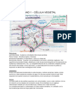 Anatomia y Embriologia Vegetal