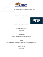 Informe Sobre Fusión y Transformación de Sociedades