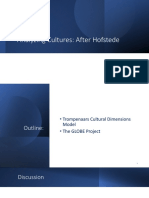 Analyzing Cultures After Hofstede