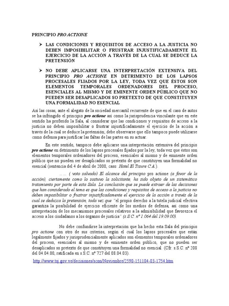 Principio Pro Actione | PDF | Caso de ley | Ley Pública