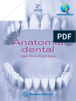 Anatomia Dental