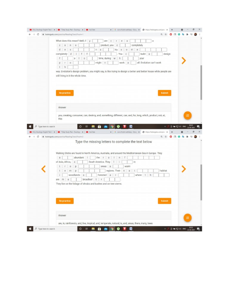 Duolingo Fill In The Blanks Practice Test