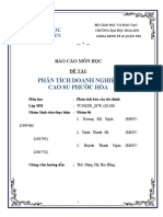 Analysis of Phuoc Hoa Rubber Company