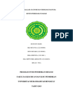 Makalah Sistem Sirkulasi 4 PDF Free