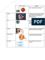 Enfermedades Del Ojo