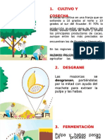 PDF Percepcion Del Riesgo - Compress