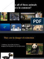 Endangered animals