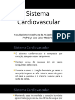 Aula - 03 - NOVO - Sistema Circulat+ Rio