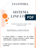 Aula - 06 - Sistema Linf+ítico